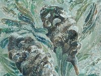 banksia 2  Banksia II - Oil on Gesso